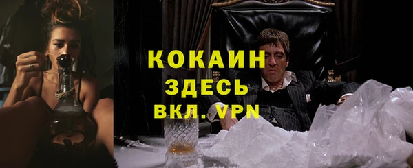 МДПВ Михайловск