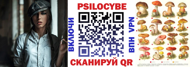 Псилоцибиновые грибы мухоморы  ОМГ ОМГ как зайти  Шумерля 