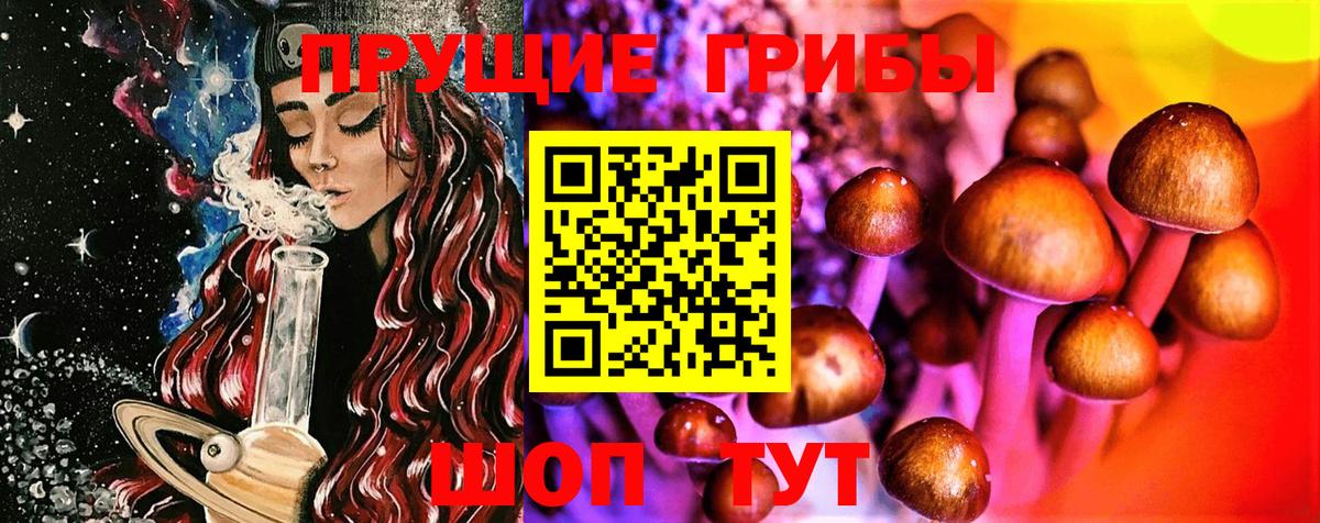 Галлюциногенные грибы GOLDEN TEACHER  Вход с VPN  где купить наркоту  Шумерля  Псилоцибиновые грибы GOLDEN TEACHER 